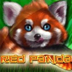 Panda CFUN68