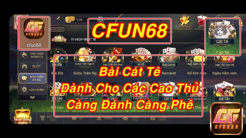 Bai Cat Te siêu hấp dẫn tại nhà cái cfun68