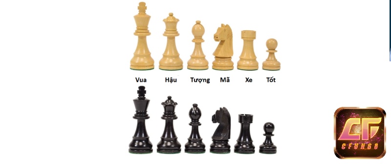 Giới thiệu các quân trong trò chơi cờ vua