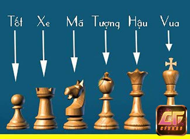 Danh co vua cần nắm vững Tên và chức năng của các quân cờ trong bàn cờ vua