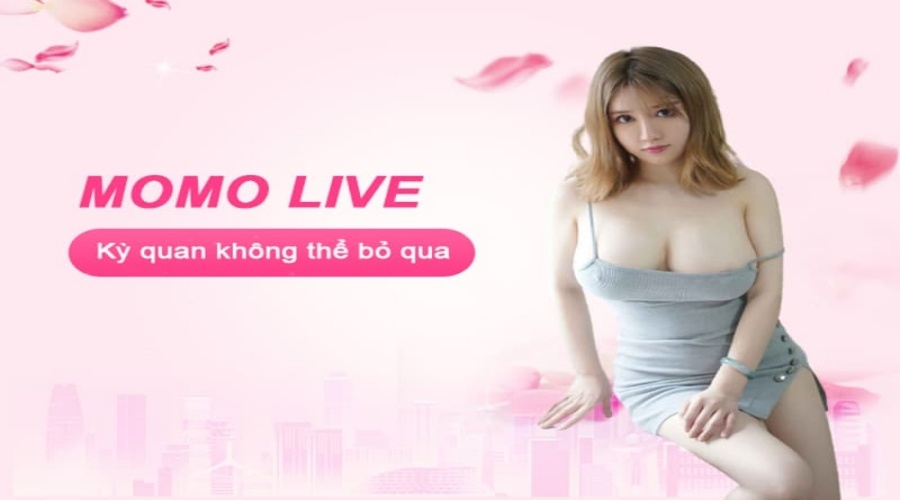 Momo live apk – Nền tảng Livestream giải trí số 1 cho giới trẻ