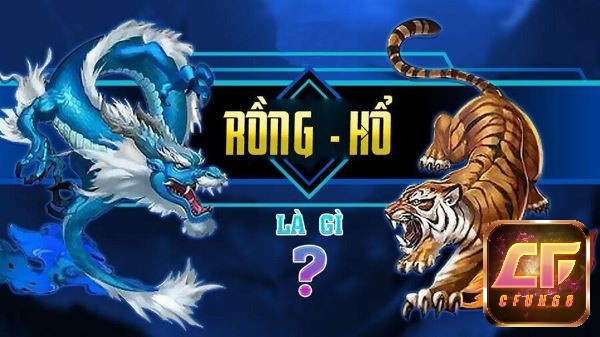 hổ rồng yêu nhau một trò chơi đánh bài hấp dẫn với nguồn gốc từ Trung Quốc