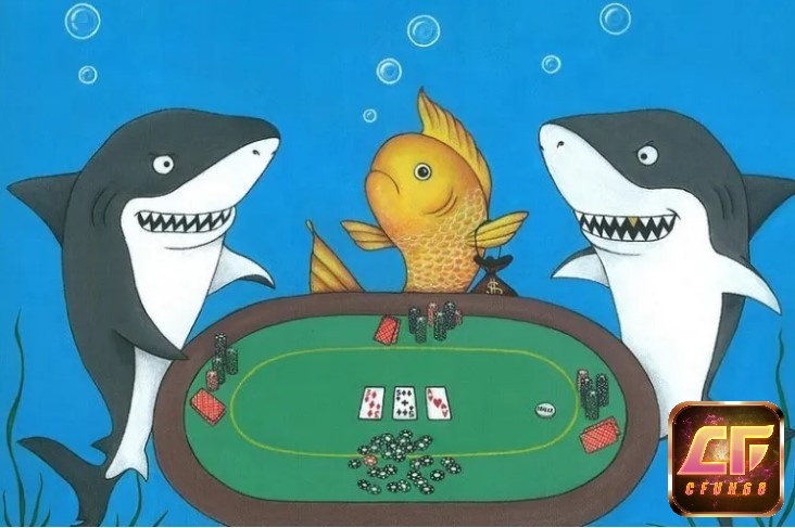 Fish trong Poker – 5 cách giúp game thủ nhận dạng fish